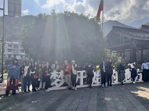 走进下姜村感知中国乡村新发展5